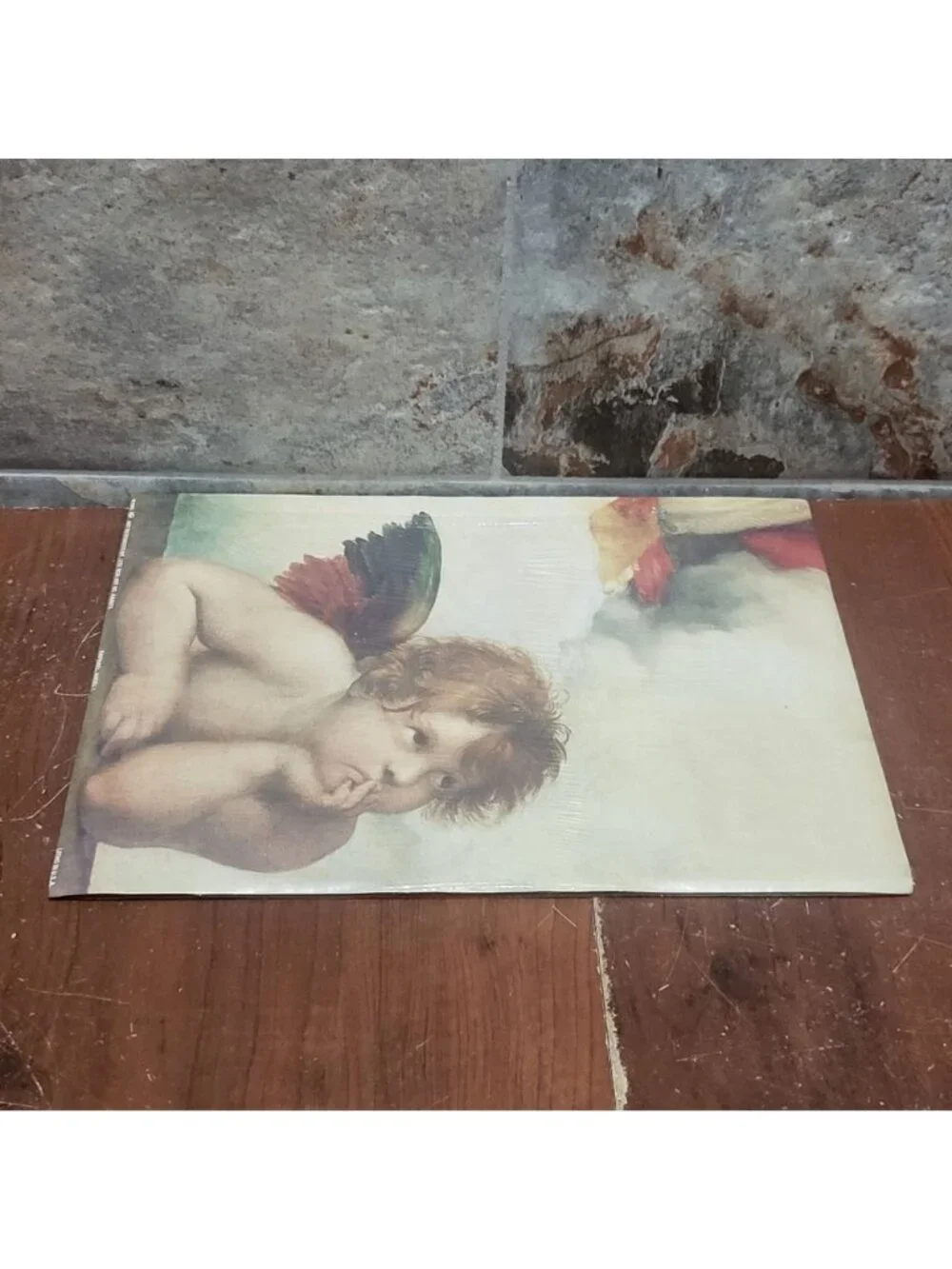 Vintage Unframed Sistine Madonna Cherubs Angelo I Art Print Raphael Angels 1995